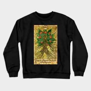 Ace Of Pentacles. Minor Arcana Tarot Card Design. Crewneck Sweatshirt